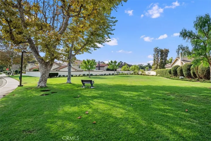 Park across the street where neighbors gather with their dogs at 5pm every day.