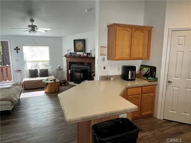 Kitchen/Living Room