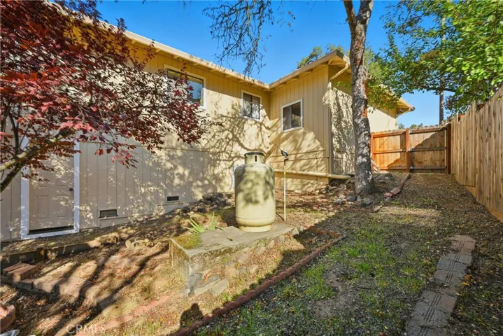 Side yard, propane tank.