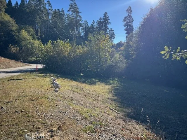 430 Alder, Cedar Glen, California 92321