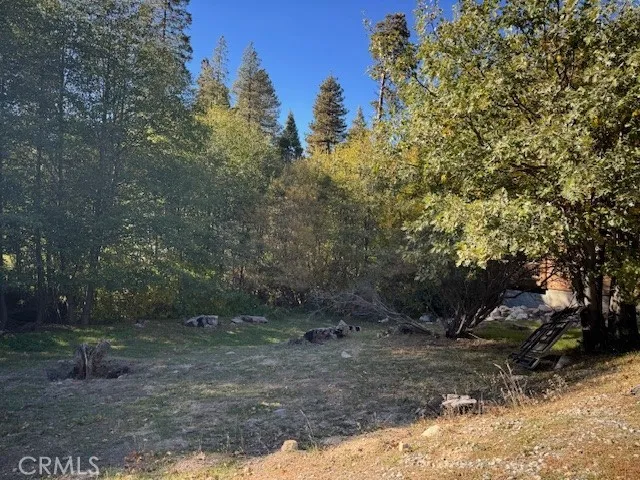 430 Alder, Cedar Glen, California 92321