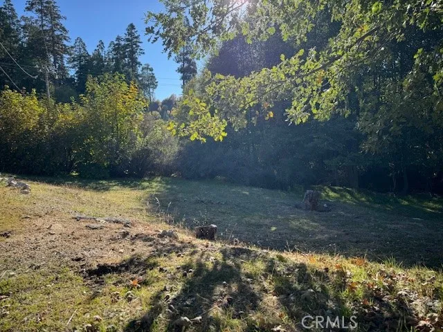 430 Alder, Cedar Glen, California 92321