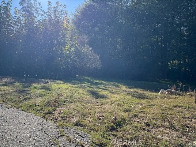 430 Alder, Cedar Glen, California 92321