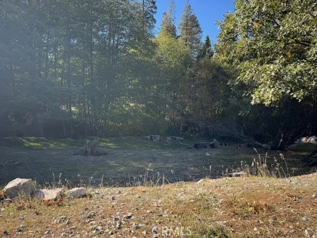 430 Alder, Cedar Glen, California 92321