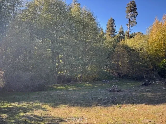 430 Alder, Cedar Glen, California 92321
