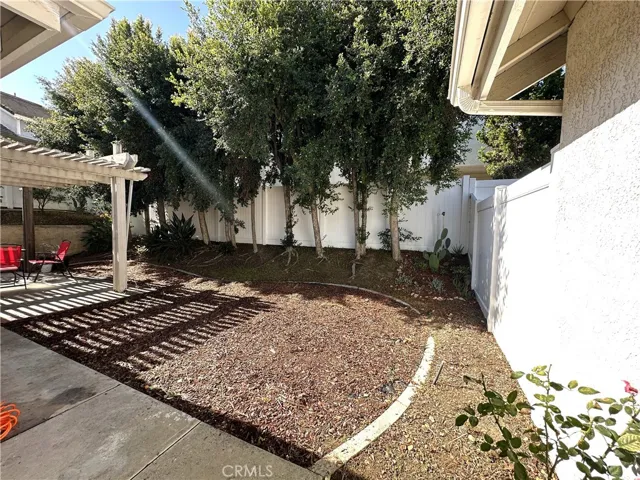 Back yard