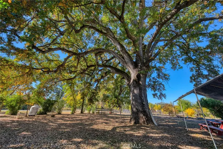 11694 Old Spruce Grove, Lower Lake, California 95457
