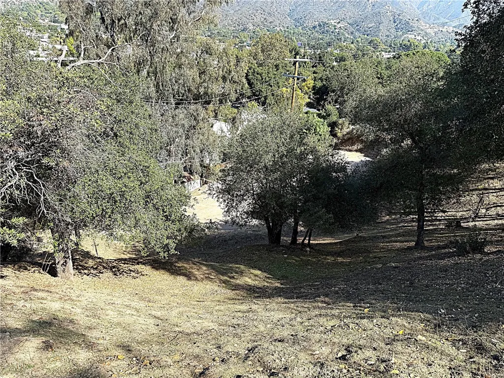 Shot looking down from High Cliff Trail.