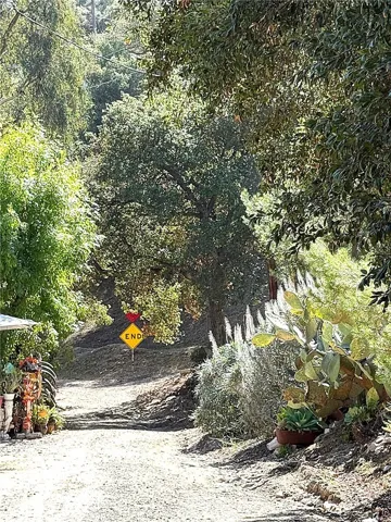 Private road Walpole Dr.
