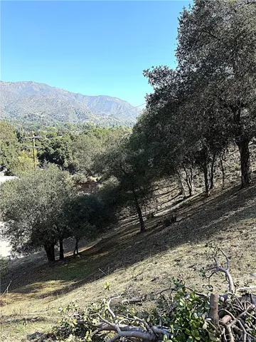 Shot looking down from High Cliff Trail.