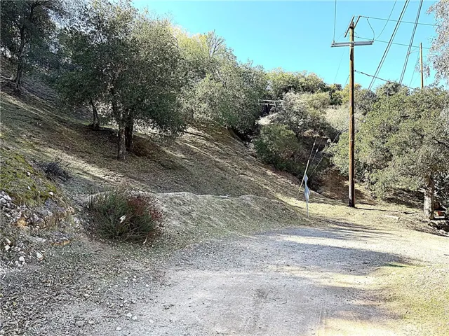 Upper shot from Private Street off Walpole Dr.
