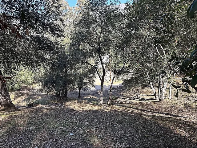 Shot looking down from High Cliff Trail.