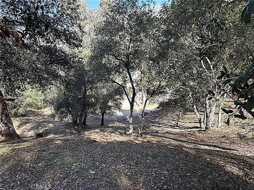 Looking down at lots from High Cliff Trail.