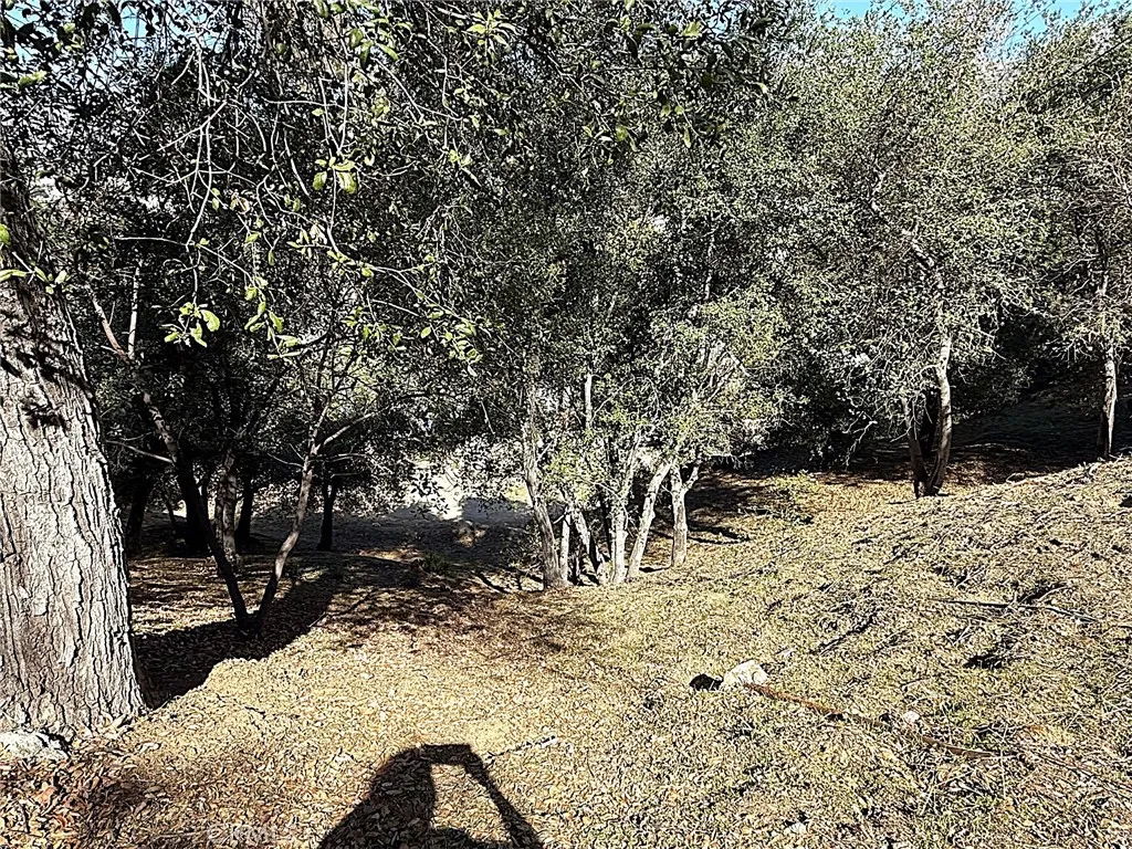 Looking down at lots from High Cliff Trail.