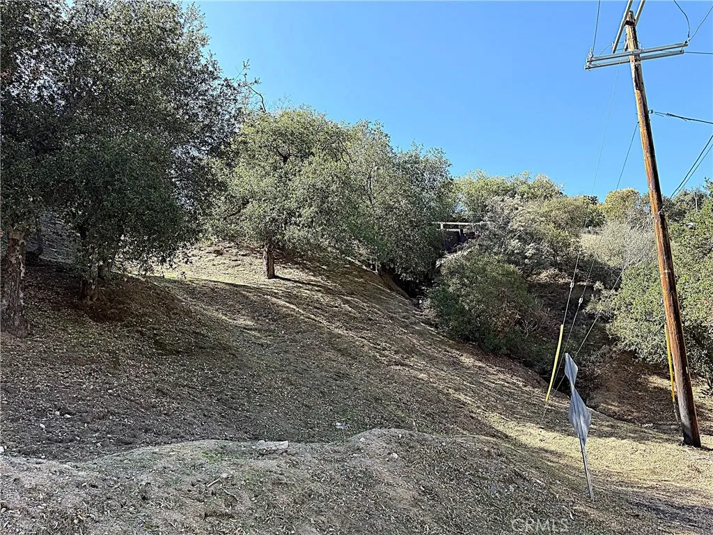 Shot from bottom looking up towards High Cliff Trail from Walpole Private Drive.