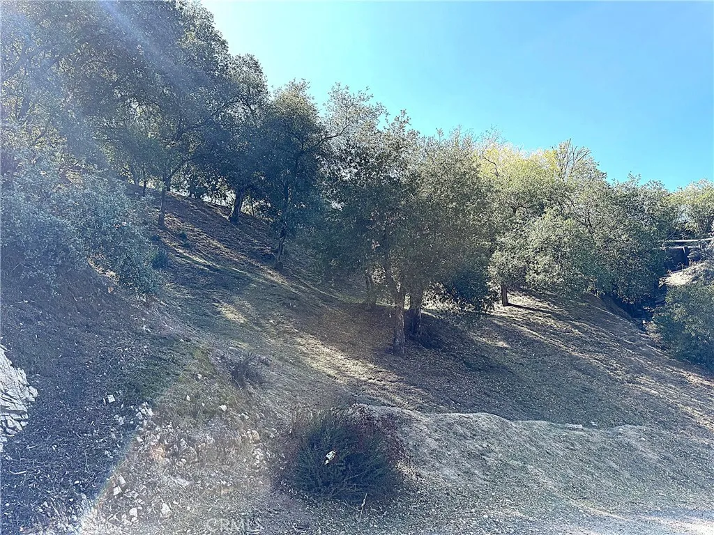 Shot from bottom looking up towards High Cliff Trail from Walpole Private Drive.
