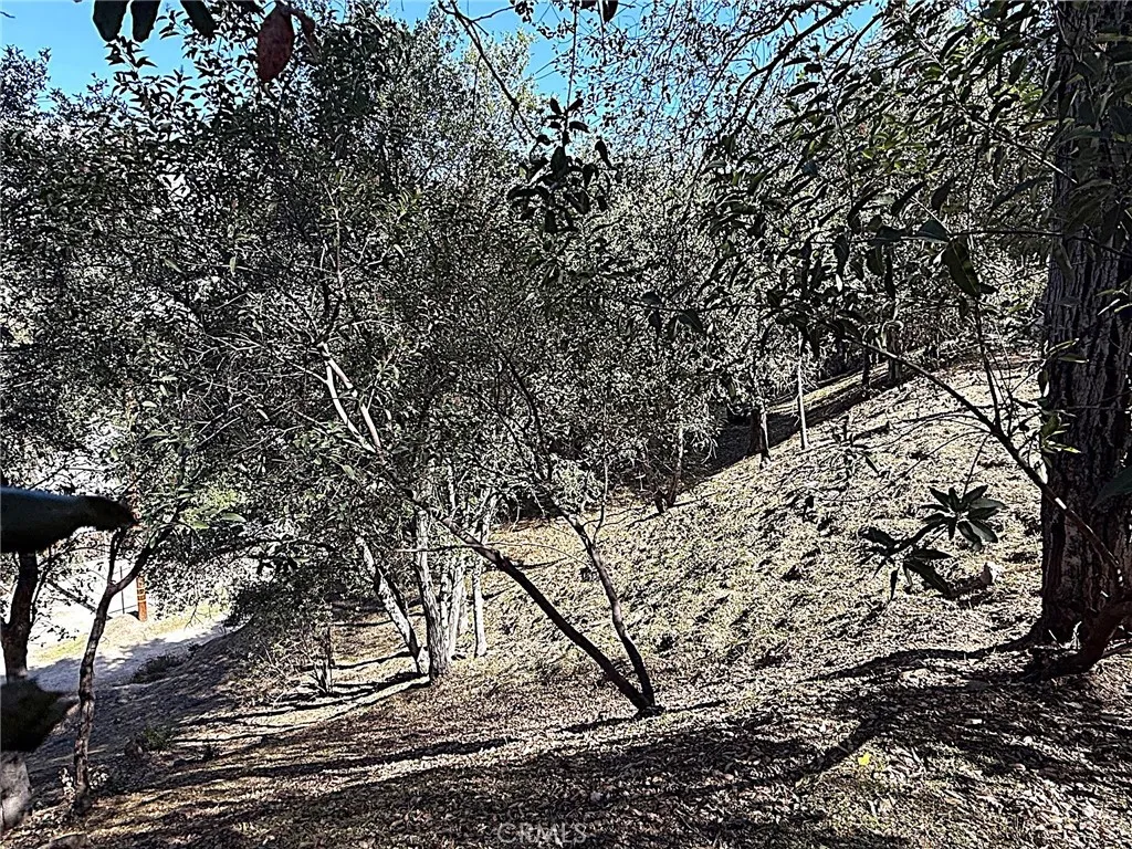 Upper view from High Cliff Trail.