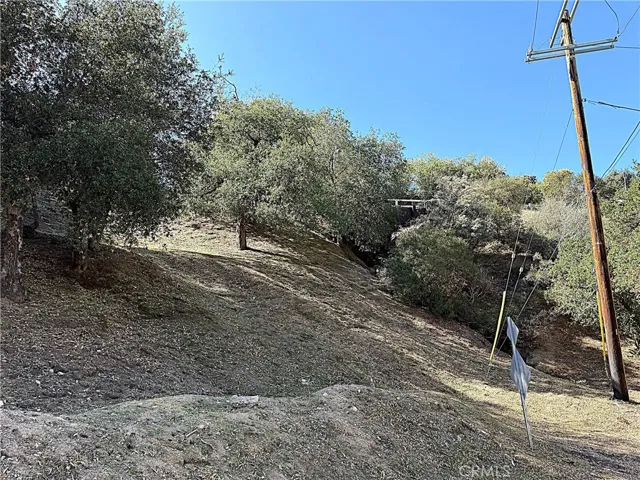 Shot from bottom looking up towards High Cliff Trail from Walpole Private Drive.