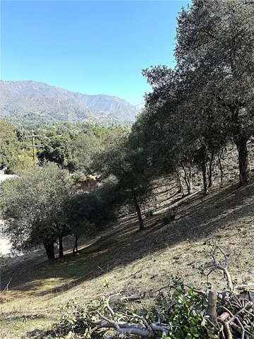 Upper view from High Cliff Trail.