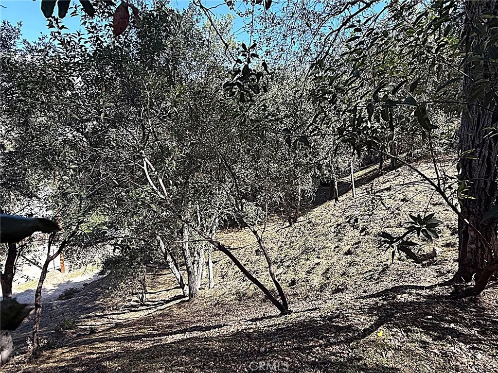 Shot looking down from High Cliff Trail.