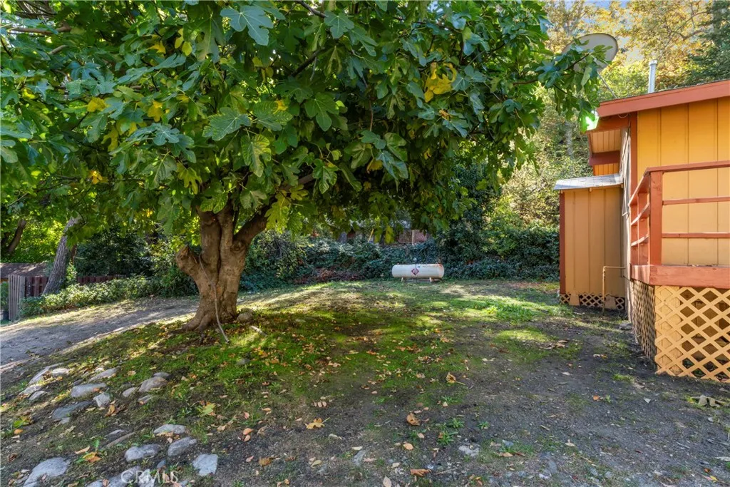 14109 Meadow, Lytle Creek, California 92358 home-pic-23