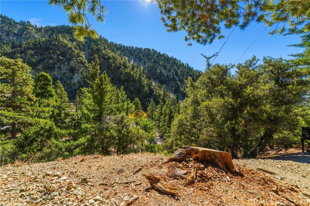 34 Manker Flats, Mt Baldy, California 91759 home-pic-35