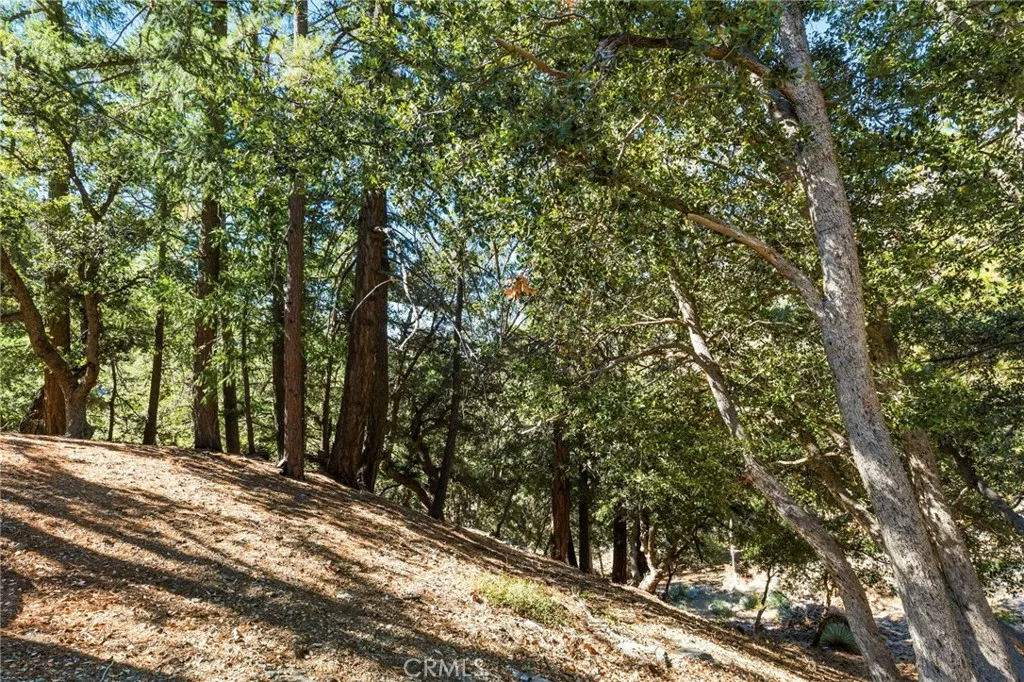 34 Manker Flats, Mt Baldy, California 91759 home-pic-39