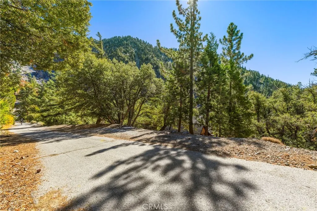 34 Manker Flats, Mt Baldy, California 91759 home-pic-32