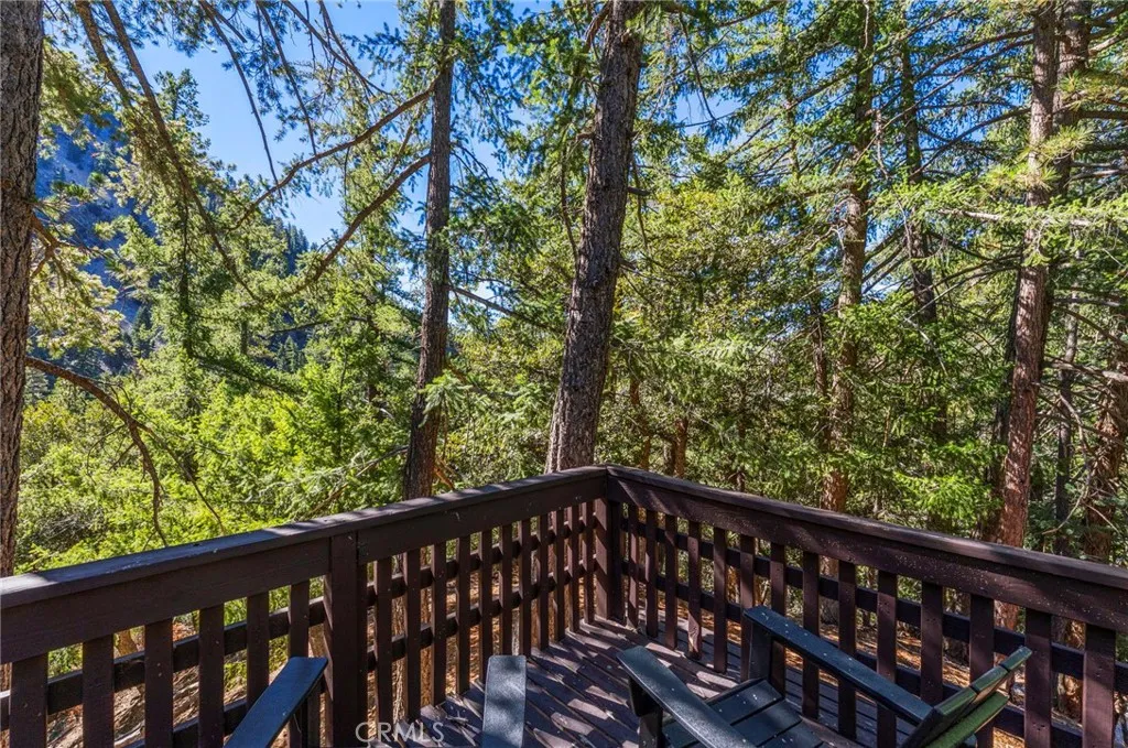 34 Manker Flats, Mt Baldy, California 91759 home-pic-43