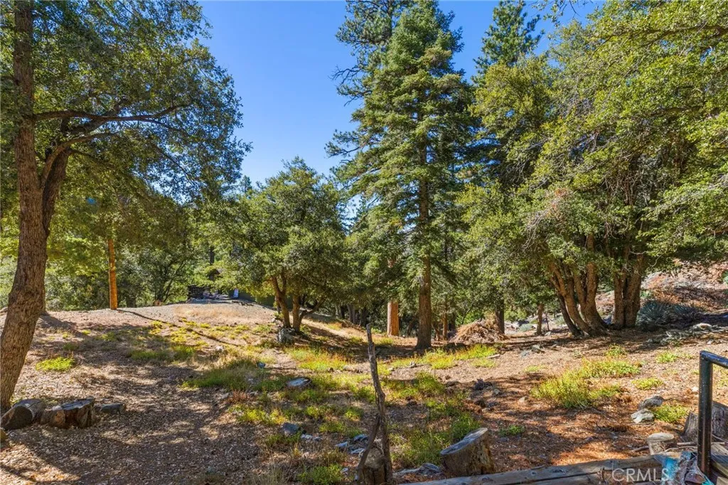 34 Manker Flats, Mt Baldy, California 91759 home-pic-36