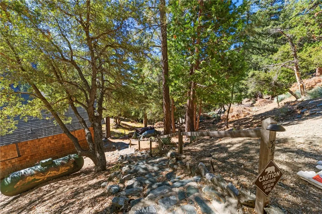 34 Manker Flats, Mt Baldy, California 91759 home-pic-29