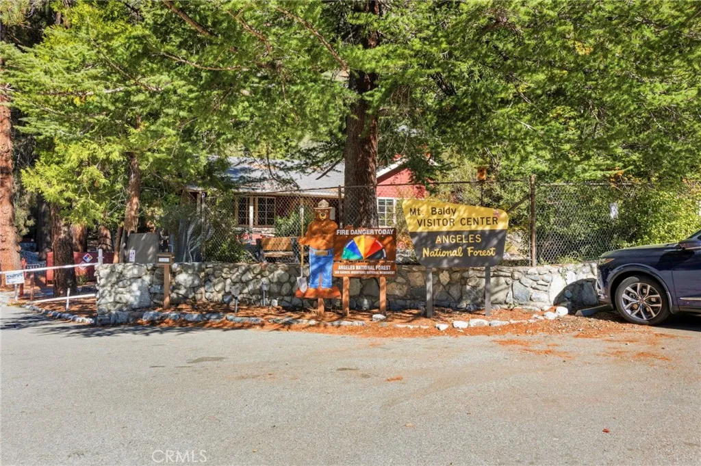 34 Manker Flats, Mt Baldy, California 91759 home-pic-45