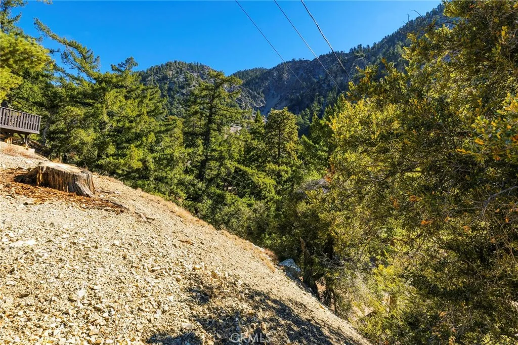 34 Manker Flats, Mt Baldy, California 91759 home-pic-38