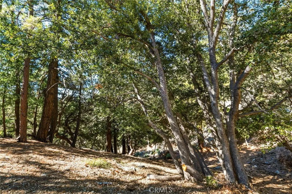 34 Manker Flats, Mt Baldy, California 91759 home-pic-40