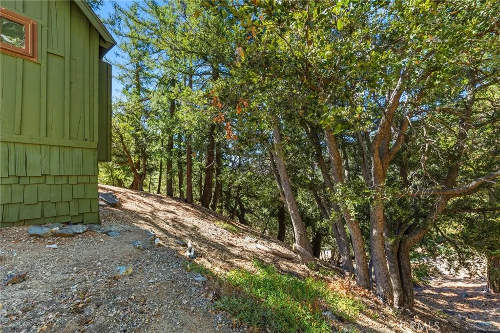 34 Manker Flats, Mt Baldy, California 91759 home-pic-34