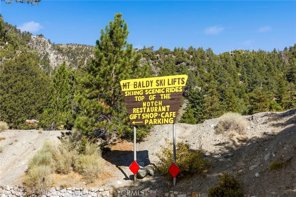 34 Manker Flats, Mt Baldy, California 91759 home-pic-57