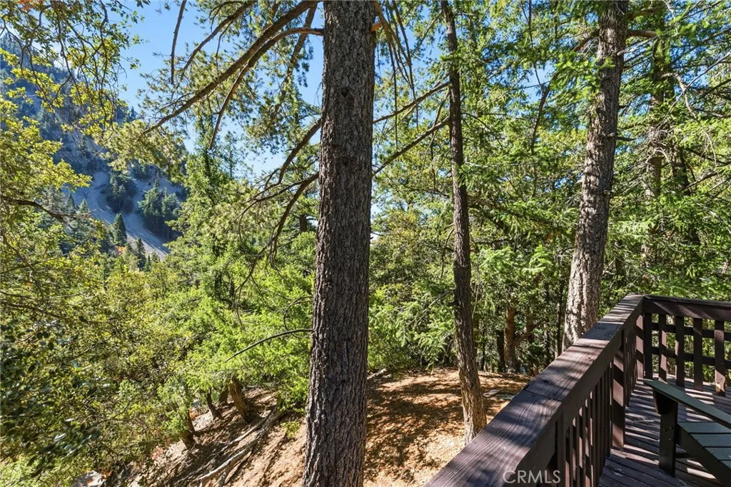 34 Manker Flats, Mt Baldy, California 91759 home-pic-42