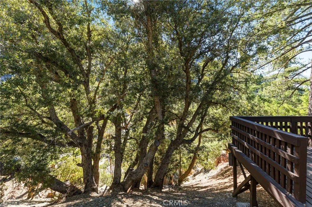 34 Manker Flats, Mt Baldy, California 91759 home-pic-37