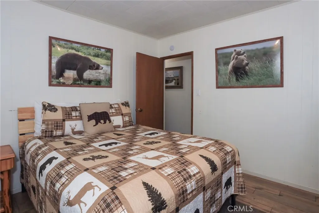 592 Douglas Street, Big Bear Lake, California 92315 home-pic-28