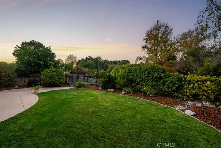 Rear yard