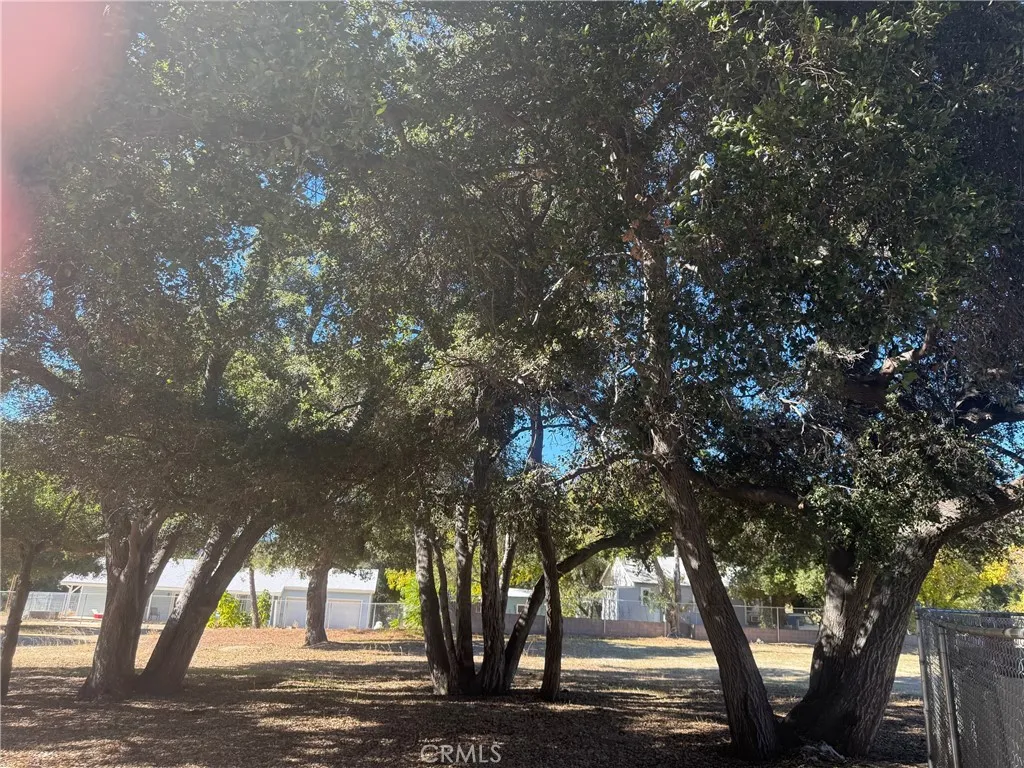 15313 Spunky Canyon Road, Green Valley, California 91390 home-pic-21