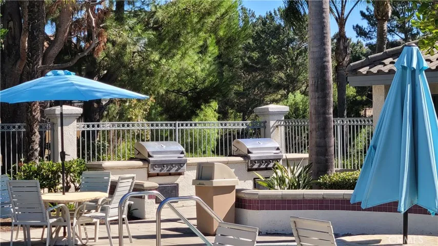 Grilling and BBQ area