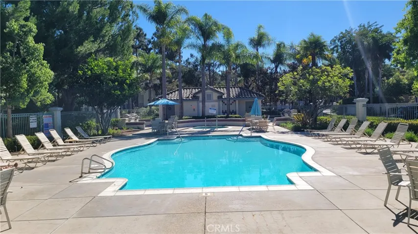 Large Pool with many lounge chairs!