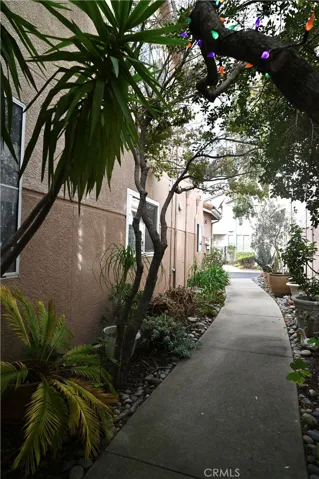 Walkway to Front Door