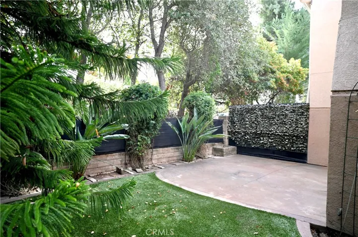 Patio Yard
