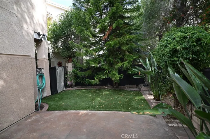 Patio Yard
