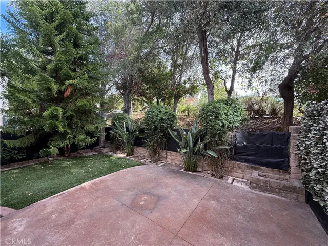 Patio Yard