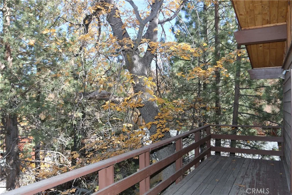 1120 Villa Grove, Big Bear Lake, California 92315 home-pic-16