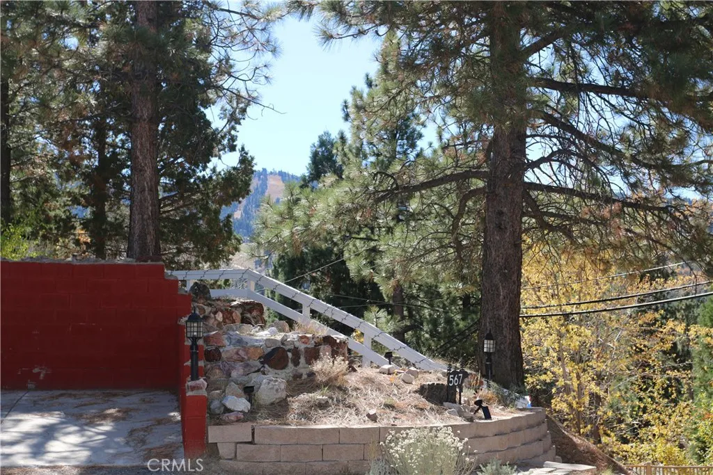 1120 Villa Grove, Big Bear Lake, California 92315 home-pic-12
