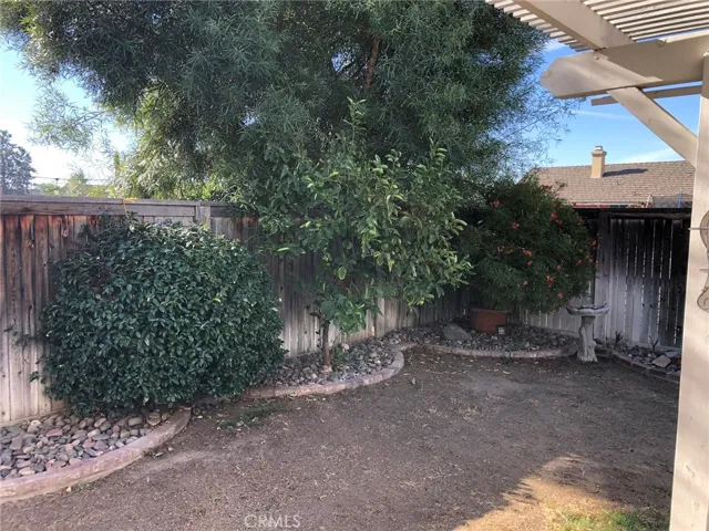 Fruit trees